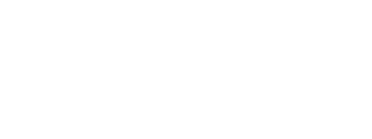 Bodon Platinum Realty LLC Logo white